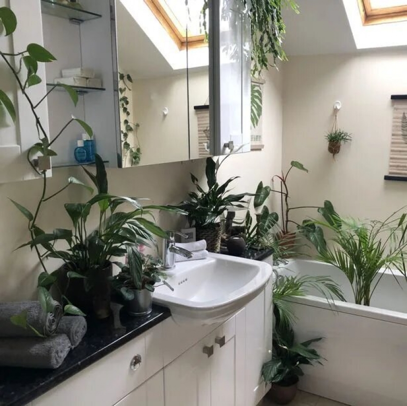 The jungle is calling: how to live in an apartment full of houseplants