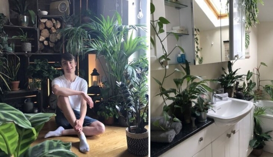 The jungle is calling: how to live in an apartment full of houseplants
