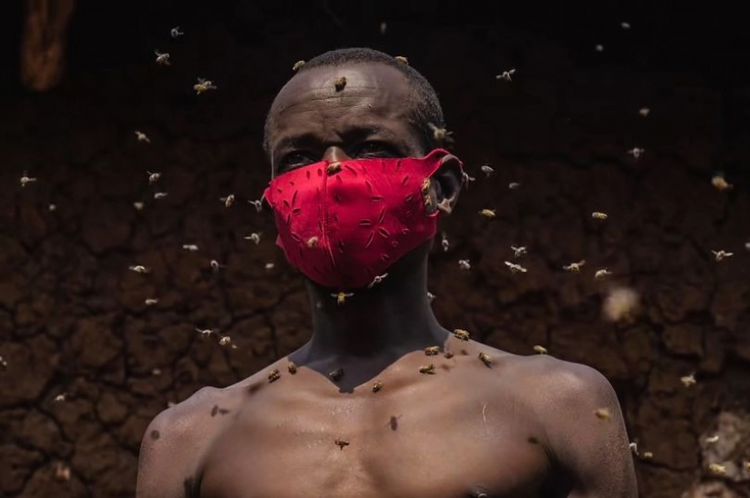 The King of bees is an African who is not afraid of stinging insects