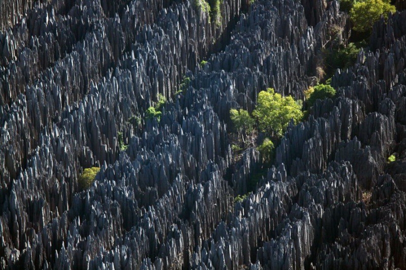 The legendary photo project "Earth seen from the sky"