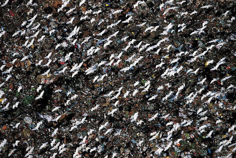 The legendary photo project "Earth seen from the sky"