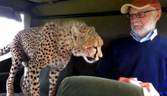 The most awkward moment, when the jeep jumped Cheetah