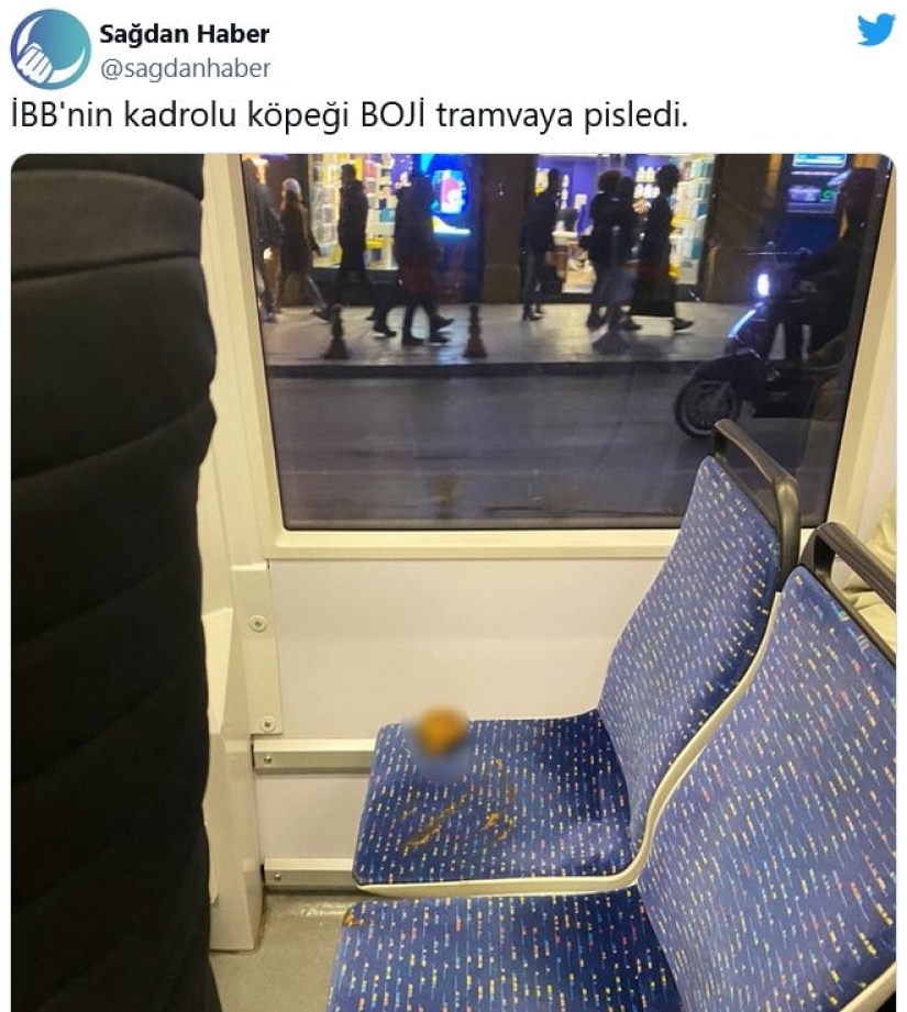 The oppositionists tried to frame the Istanbul dog Boji by throwing feces into the tram