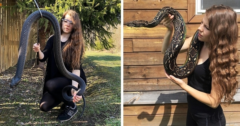 The Russian woman fearlessly gave a cobra a drink from a glass and became the hero of the network