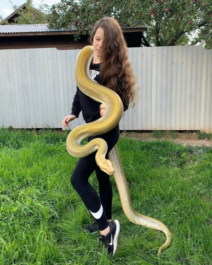 The Russian woman fearlessly gave a cobra a drink from a glass and became the hero of the network