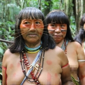The Spirit of the Amazon: the life of the ancient Matses tribe — "jaguar people"