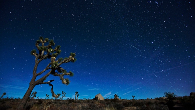 The stargazes you can't miss this year
