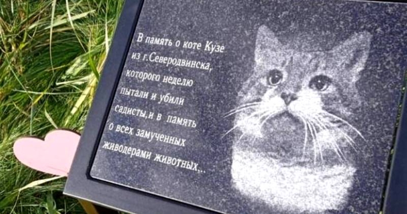 The story of Kuzi, the cat tortured by the knackers, to whom a monument was erected