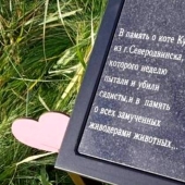 The story of Kuzi, the cat tortured by the knackers, to whom a monument was erected