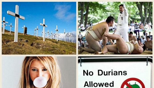 The weirdest laws in the world