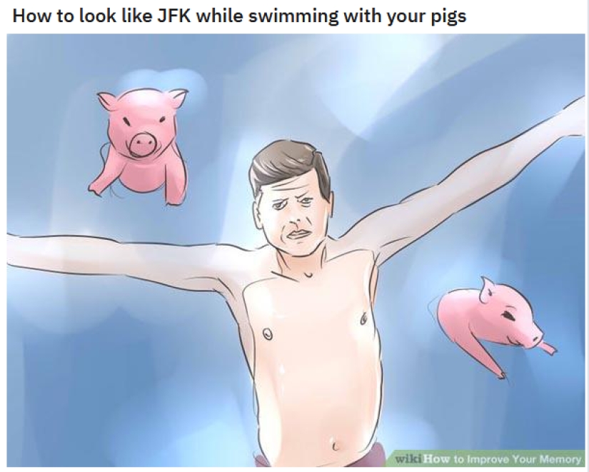 The wikiHow site has become a source of immoral memes for cynics from Reddit