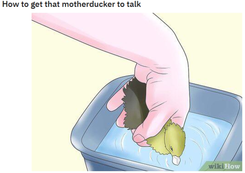 The wikiHow site has become a source of immoral memes for cynics from Reddit