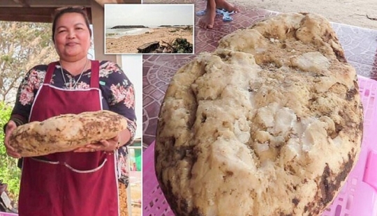 The woman found on the beach vomiting whale that she could make over a quarter million dollars The woman found on the beach vomiting whale that she could make over a quarter million dollars