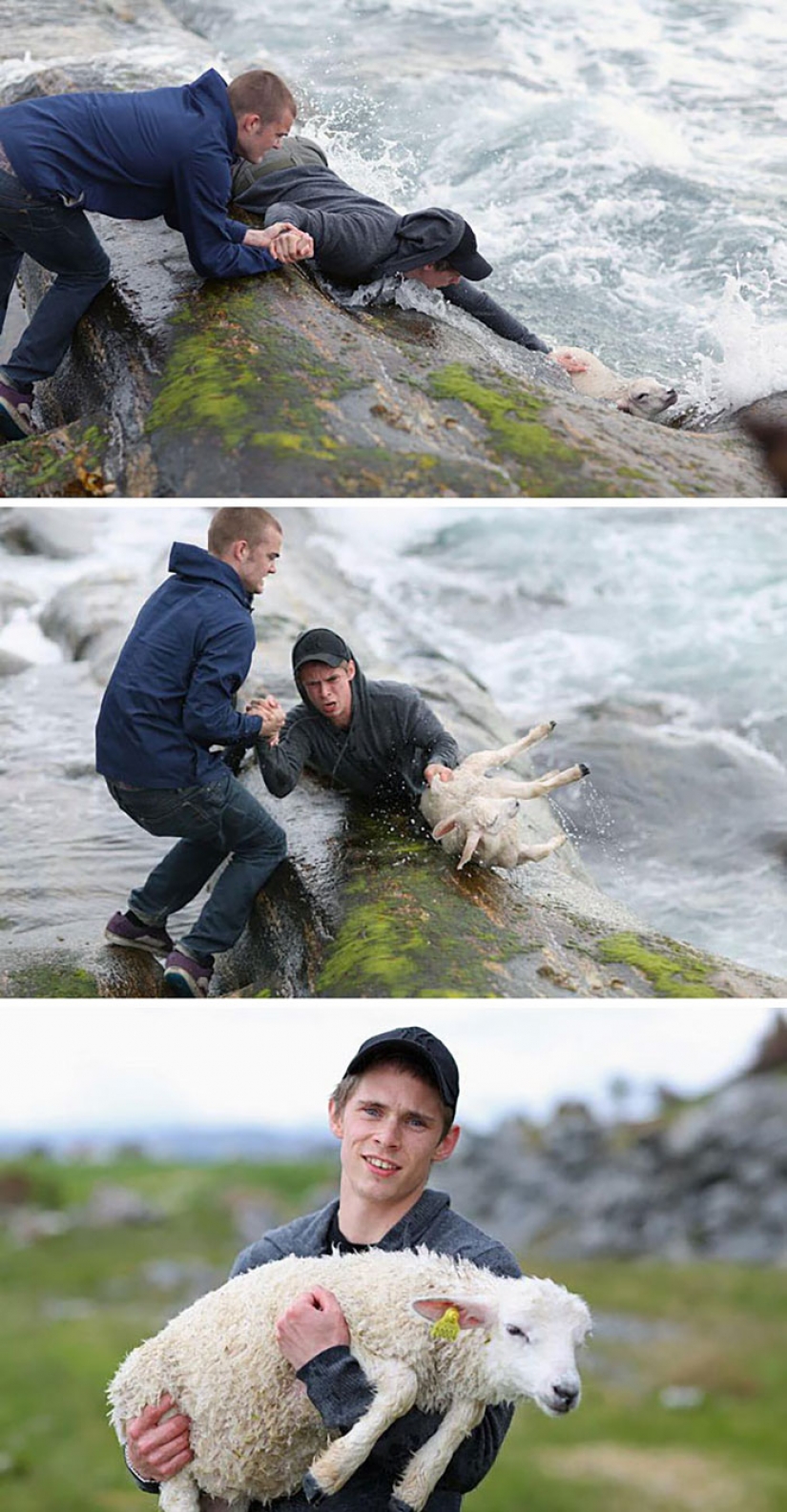 These photos will restore your faith in humanity.