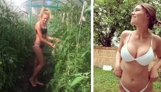 This is not Rio de Janeiro: integramedica instead resorts master gardens and orchards This is not Rio de Janeiro: integramedica instead resorts master gardens and orchards