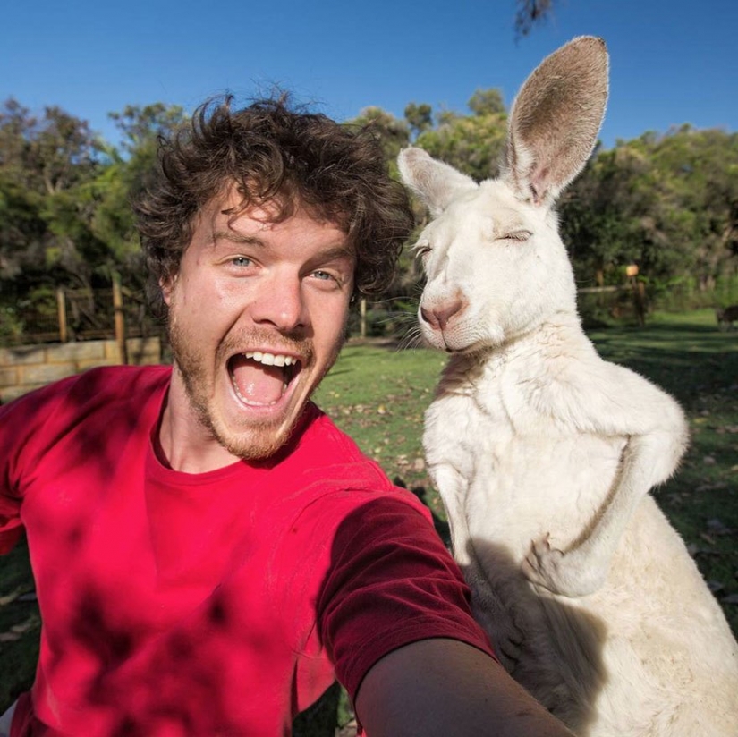 This man has mastered the art of selfies with animals to perfection.