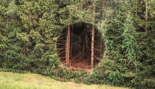 Un agujero ideal apareció en la espesura del bosque cerca de un pueblo estonio y desconcertó a los cibernautas