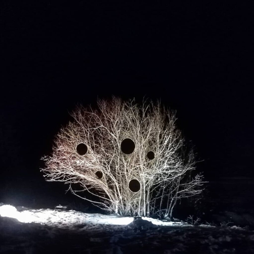 Un agujero ideal apareció en la espesura del bosque cerca de un pueblo estonio y desconcertó a los cibernautas