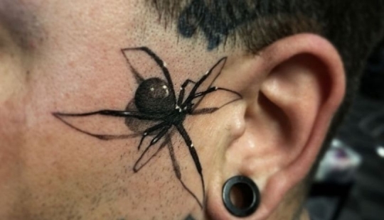 Un artista del tatuaje de los EE.UU. impresiona con una nueva tendencia: un dibujo en 3D de una araña venenosa