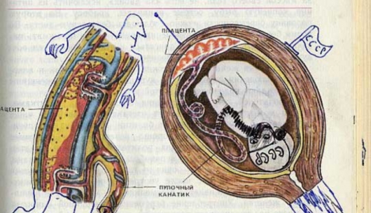 Un divertido libro de texto de biología pintado le llevará de vuelta al 9º grado