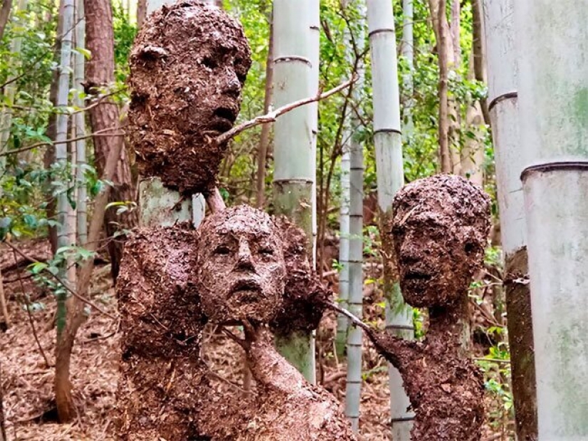 Un estudiante de Japón ha creado un raro, pero hermoso Bosque de la Desesperación