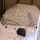 Un residente canadiense fue despertado por un meteorito que cayó en su cama
