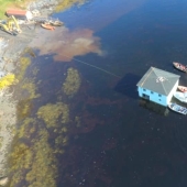 Una pareja de Canadá transportó la casa de sus sueños nadando a través del lago en una balsa casera