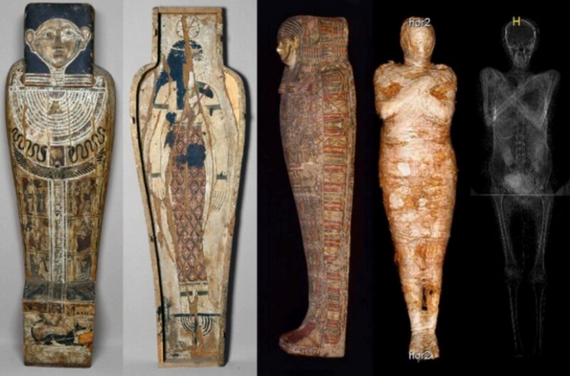 Unique find: Egyptian mummy turned out to be pregnant