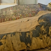 Unique find: Egyptian mummy turned out to be pregnant