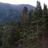 Unique tree houses Woodnest soar in Norwegian woods