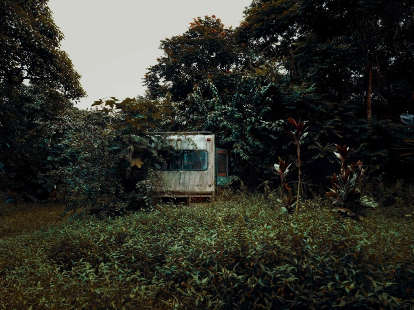 Vehículos abandonados en el Hawaiano de la selva: un proyecto fotográfico de Tomás Strigelsky