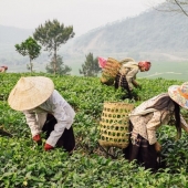 Viajamos a Vietnam por 30 fotos junto con el ucraniano Dmitry Gilitukha