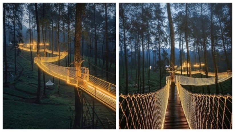 Viajar en línea: el puente más mágico de Indonesia
