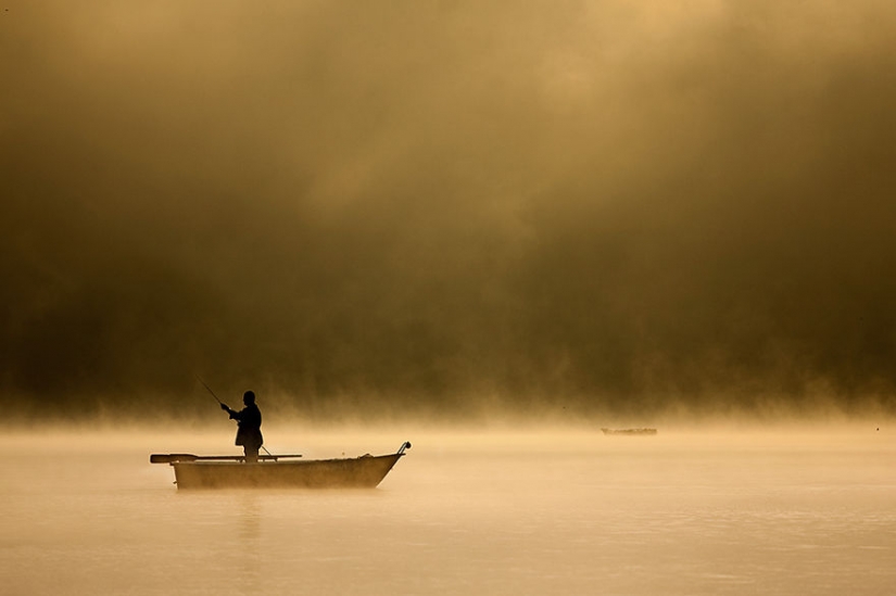 Vida de niebla en el lago