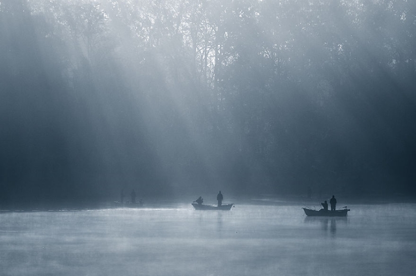 Vida de niebla en el lago