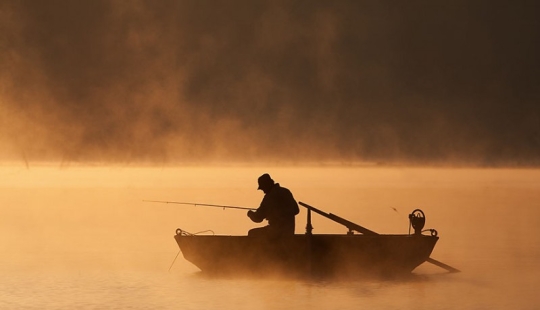 Vida de niebla en el lago