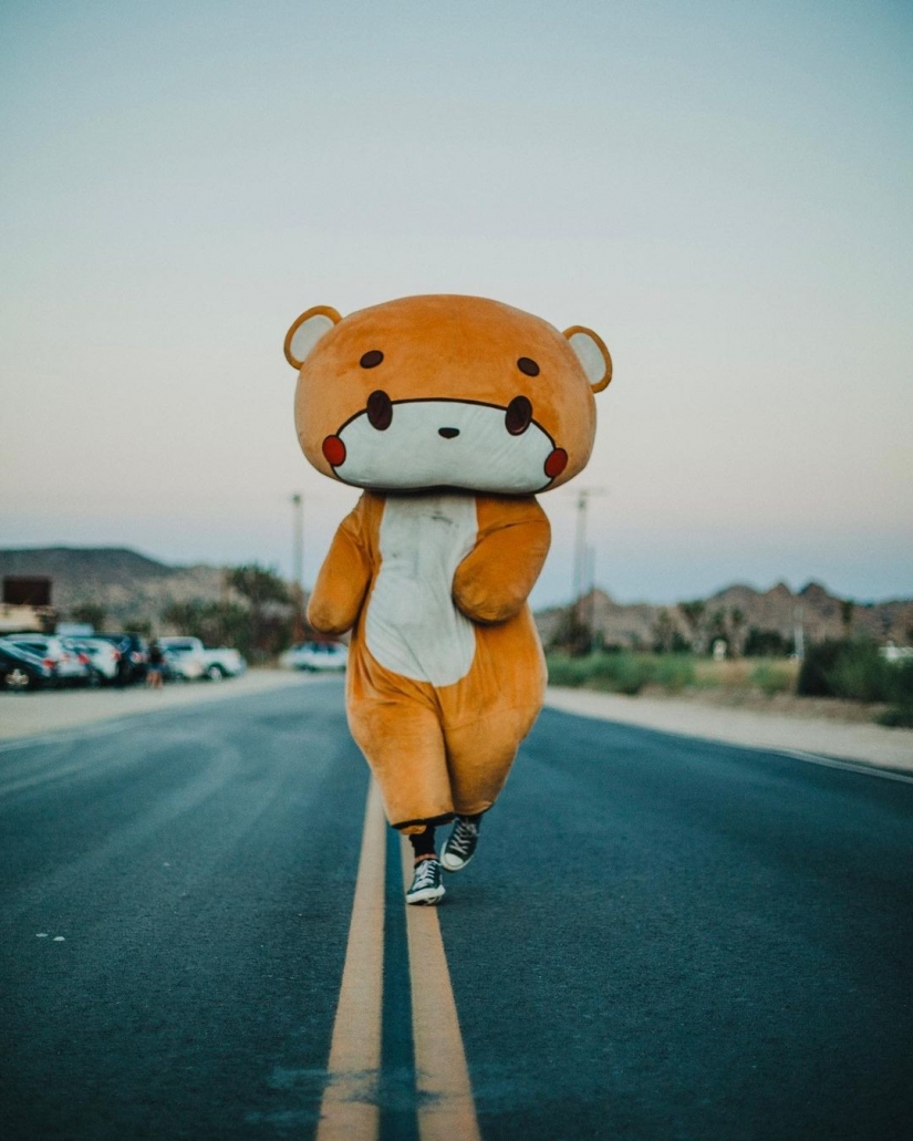 Walking bear: the guy walked 770 km from Los Angeles to San Francisco