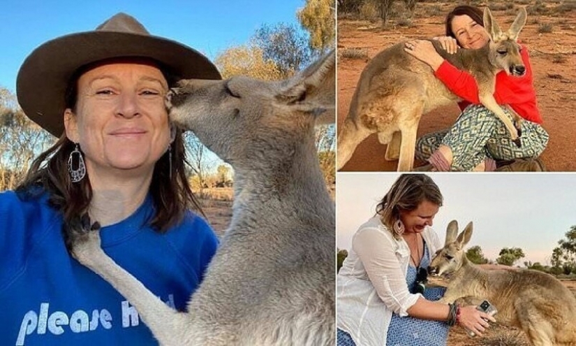 What does the most affectionate kangaroo in Australia look like, who loves hugs very much