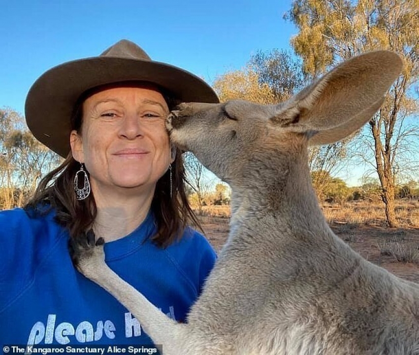 What does the most affectionate kangaroo in Australia look like, who loves hugs very much