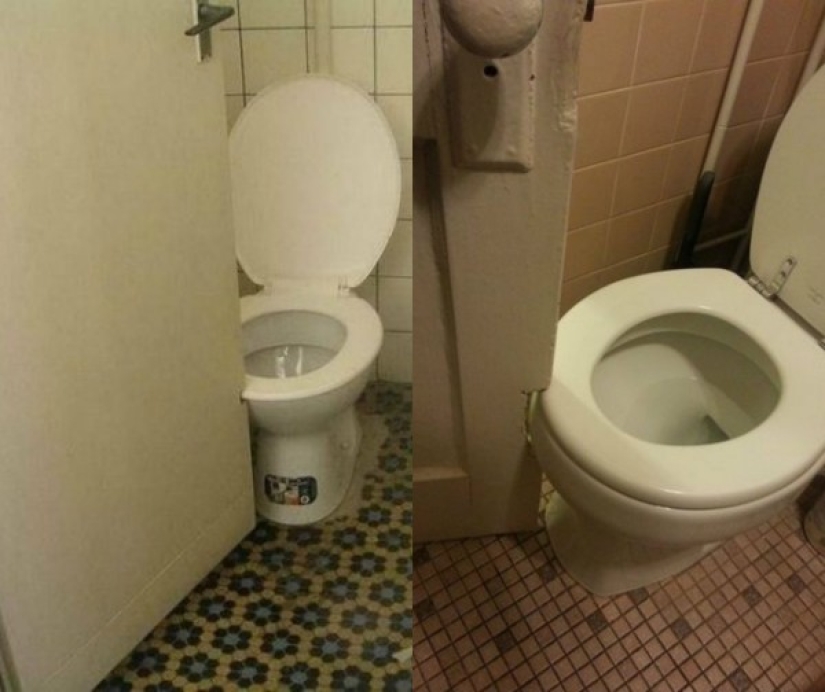 What happens when the toilet in the house is designed by the wife