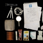 What is stored in women's handbags?