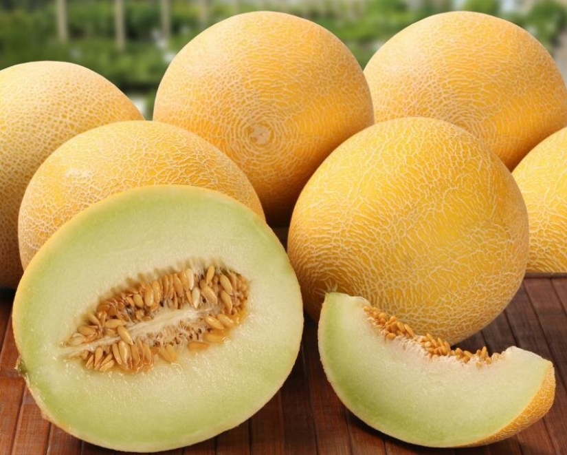 What you can not eat melon and why