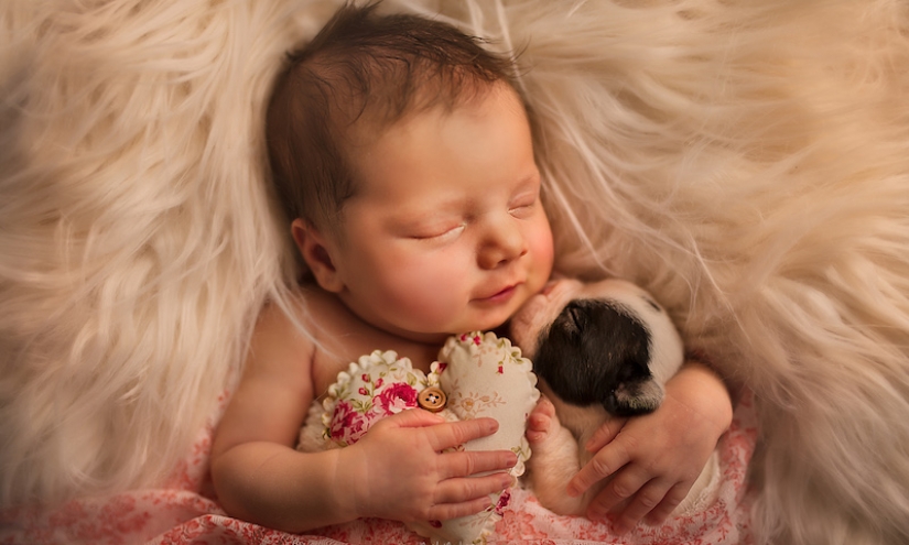 When you're cute as hell: hugs babies and Pets in the project of the photographer from London