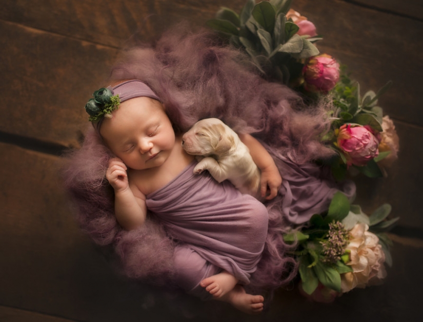 When you're cute as hell: hugs babies and Pets in the project of the photographer from London