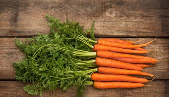 Why did carrots become a fruit?