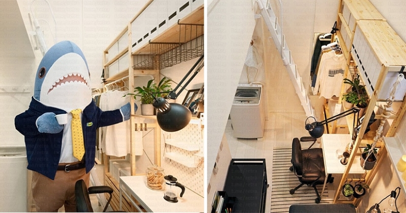 Why IKEA rents duplex apartments in the center of Tokyo for 65 rubles a month