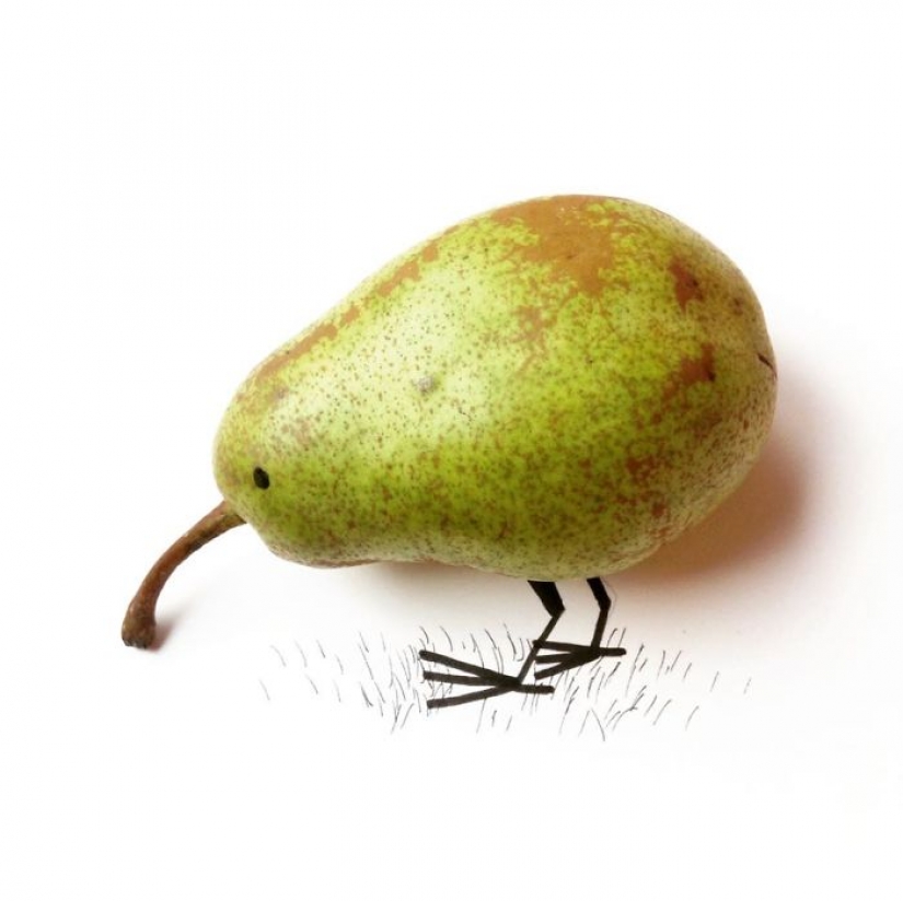 Witty illustrations from everyday objects