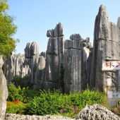 Wonders of the world: stone forest in Shilin, China