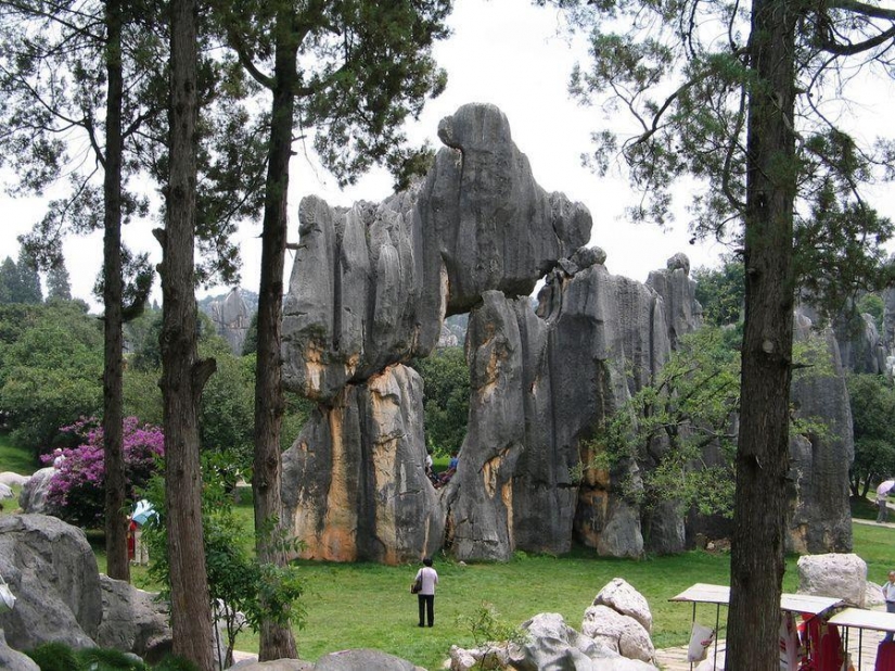 Wonders of the world: stone forest in Shilin, China