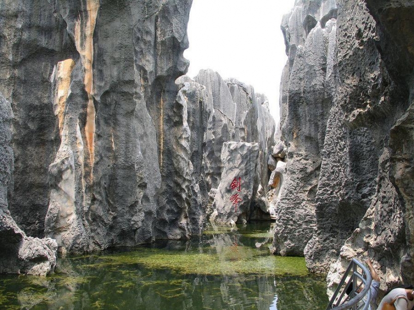 Wonders of the world: stone forest in Shilin, China
